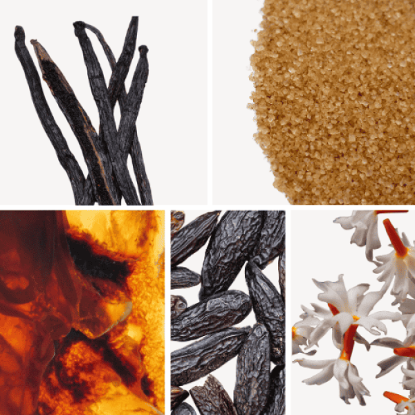 Duftnoten: Vanille, brauner Zucker, Jasmin, Bernstein, Tonkabohne